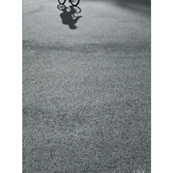 dailyPhoto10